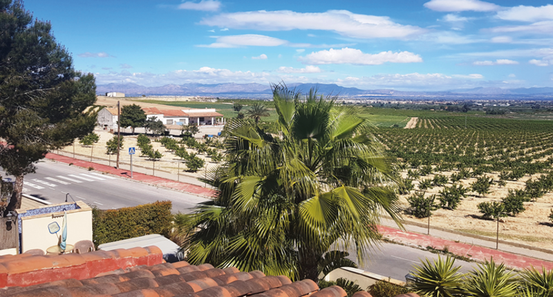 Five Minute Focus | Algorfa, Spain