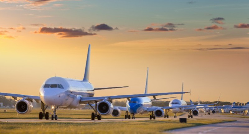 How to plan a viewing trip