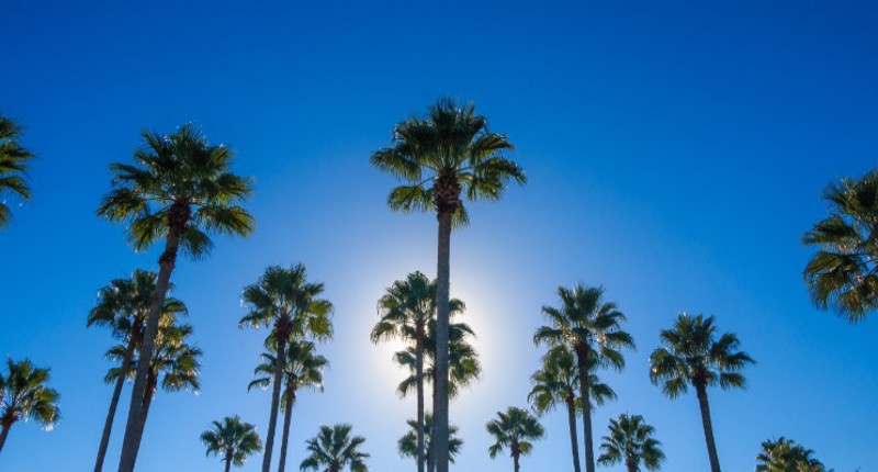 Five Minute Focus | Orlando, Florida