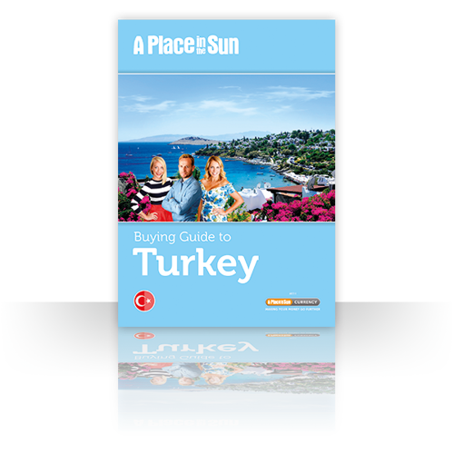 Turkey Buying Guide