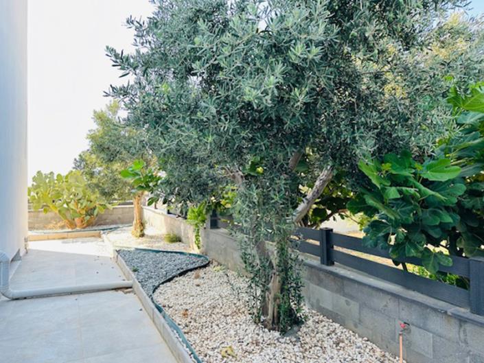 Image No.9-3 Bed Villa / Detached for sale