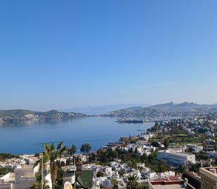 boasts-a-stunning-view