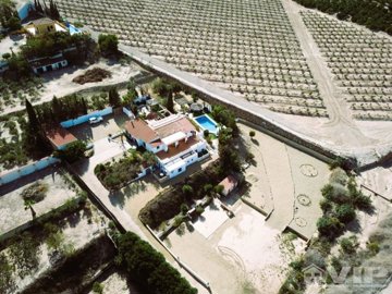 vip8160-espalgaperros-56540734