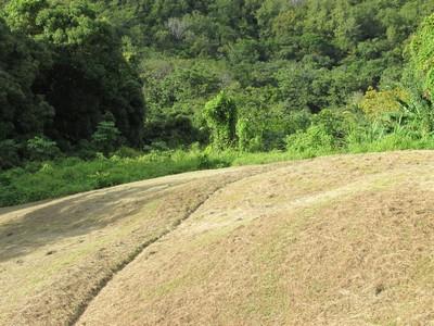 Image No.3-Land for sale