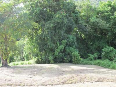 Image No.2-Land for sale