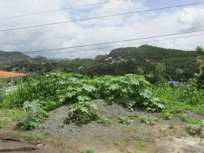 Image No.5-Land for sale