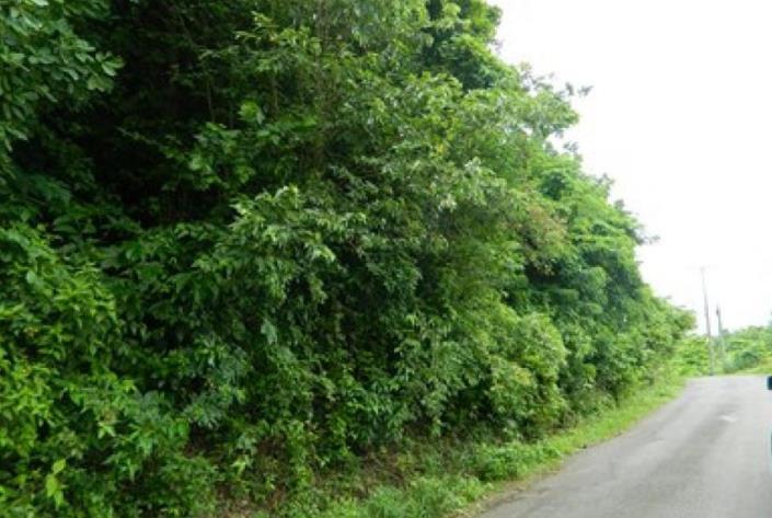 Image No.2-Terre à vendre à Monchy