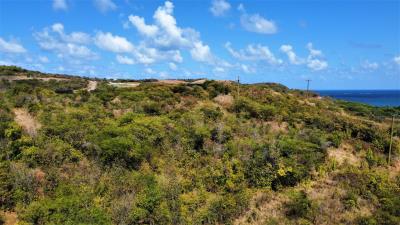 SLH-CAS016L-5-scaled