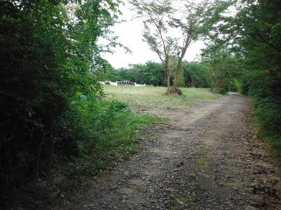 Image No.2-Land for sale