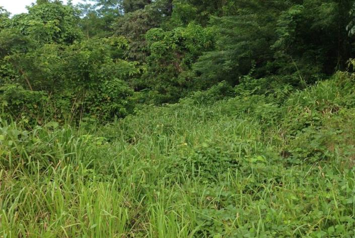 Image No.5-Land for sale