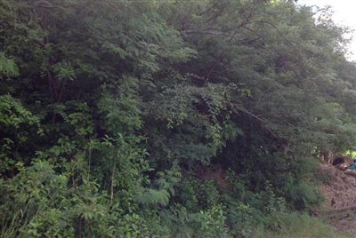 IMG_2012-1-e1513624773180-850x570