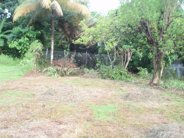 Image No.7-Land for sale