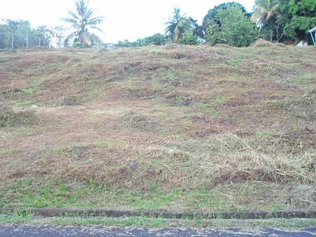 Image No.8-Land for sale