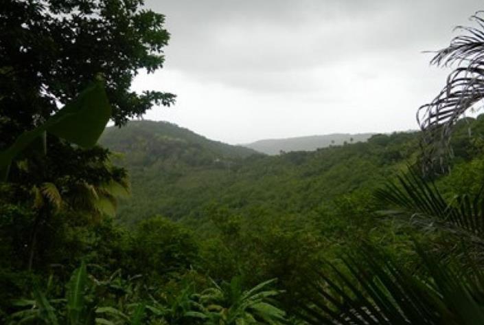 Image No.4-Terre à vendre à Monchy