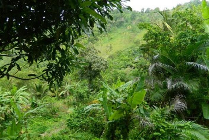 Image No.5-Terre à vendre à Monchy