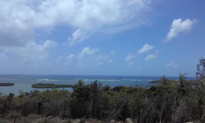 Image No.10-Land for sale