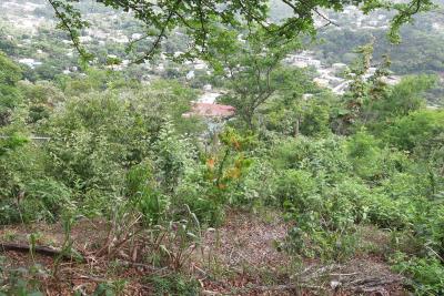 20210806_154452_1200x800