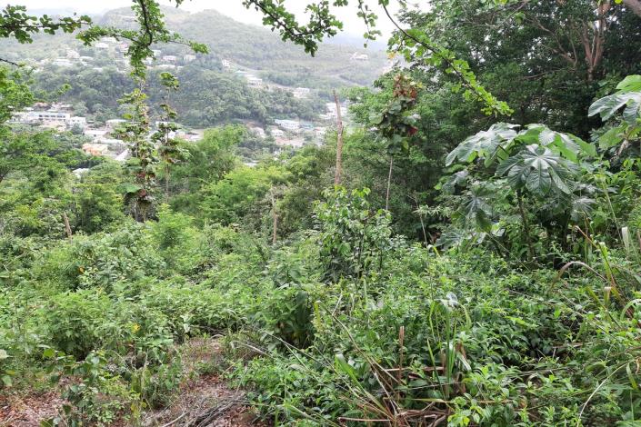 Image No.4-Land for sale