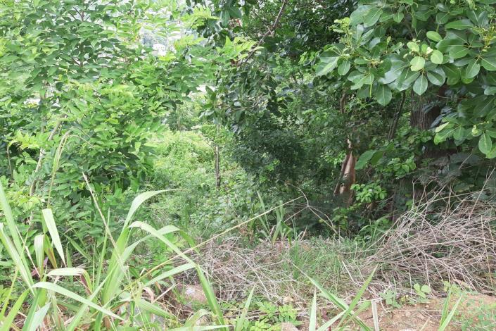 Image No.5-Land for sale