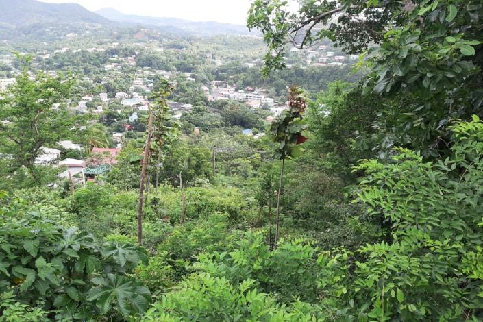 Image No.2-Land for sale