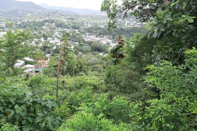 20210806_154548_1200x800