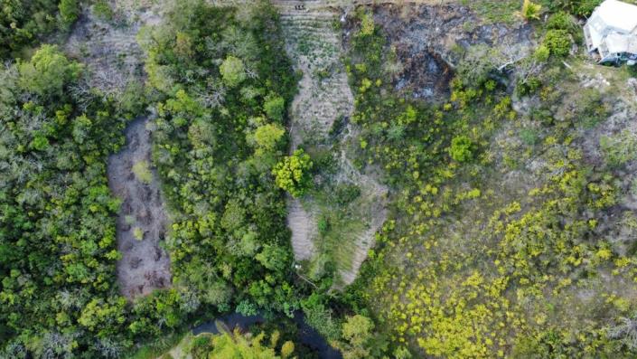 Image No.3-Terre à vendre à Choiseul