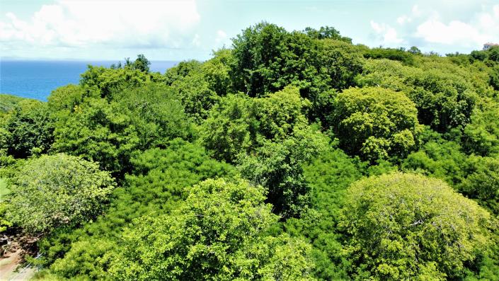 Image No.4-Land for sale