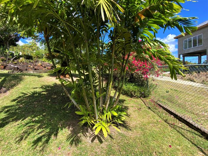 Image No.10-3 Bed House for sale