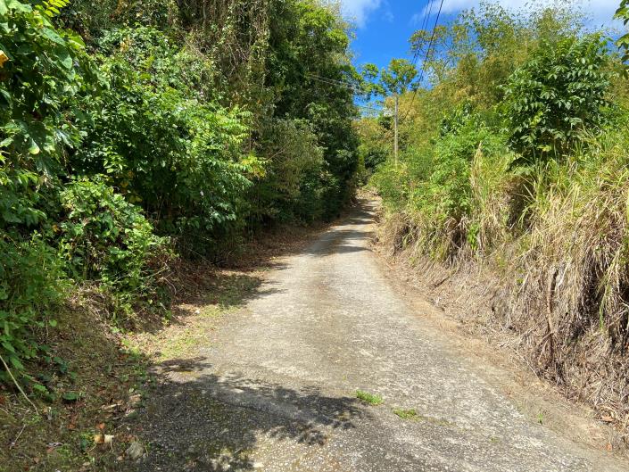 Image No.8-Land for sale