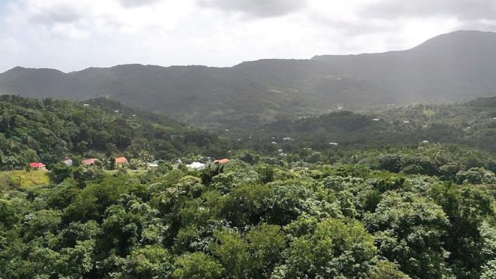 Image No.3-Terre à vendre à Babonneau