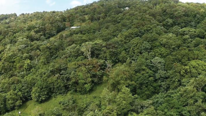 Image No.4-Terre à vendre à Babonneau