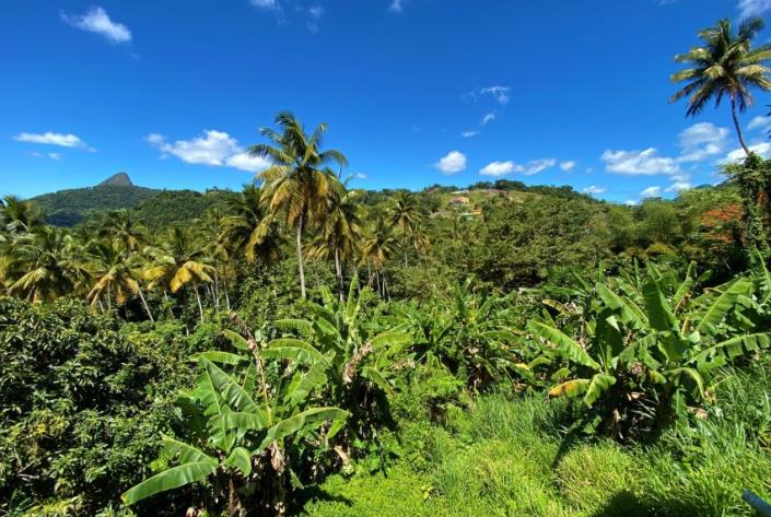 Image No.4-Land for sale