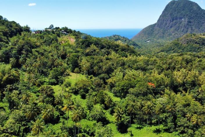 Image No.2-Land for sale