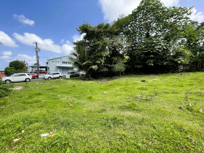 Image No.3-Terre à vendre à Castries