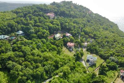 CBSLH-MRG015L-2-850x570