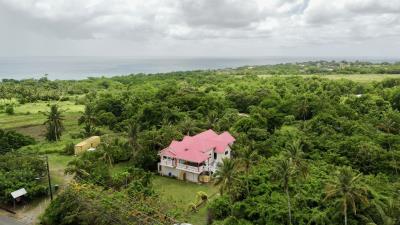 Updated-18-June--11-