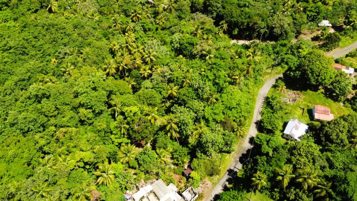 Image No.3-Terre à vendre à Praslin