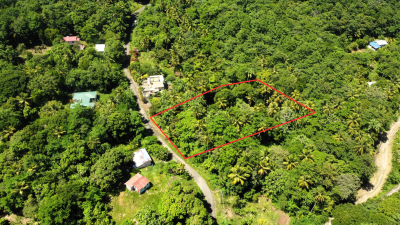 Untitled-design--13-