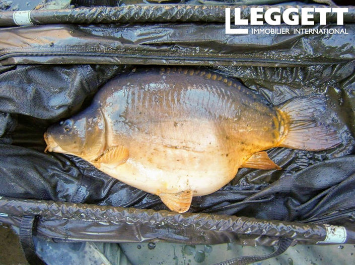 Image No.10-2 Bed Land for sale