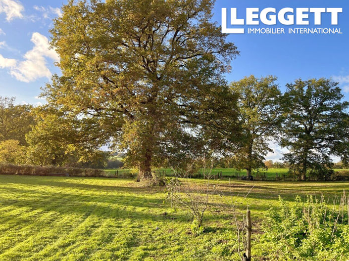 Image No.6-Bar for sale