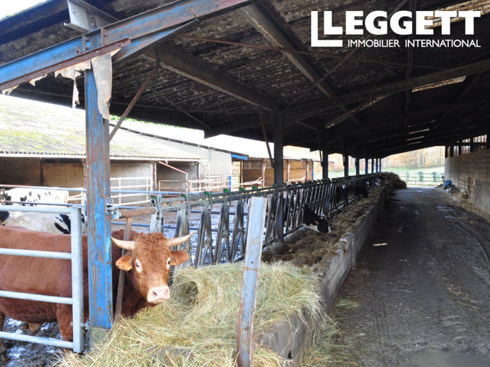 Image No.5-Commercial à vendre à Dordogne