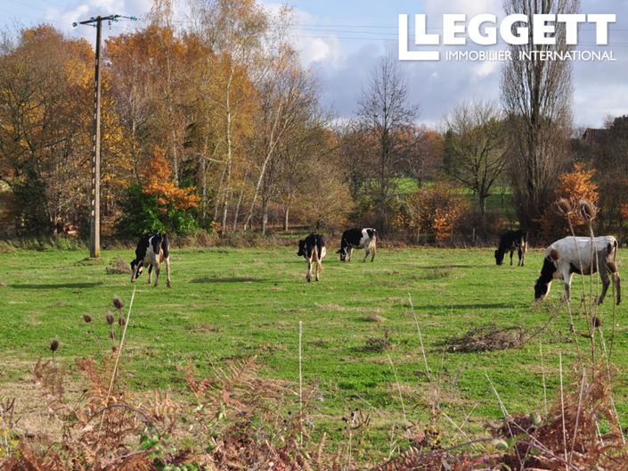 Image No.8-Commercial à vendre à Dordogne