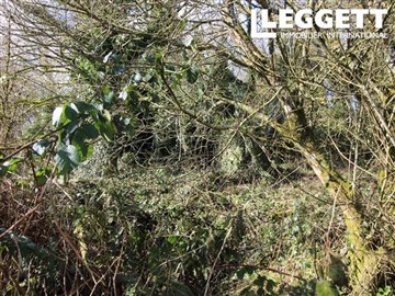 ahr0chm6ly9jzg4uagvzdglhlmltbw8vaw1hz2uvvevom