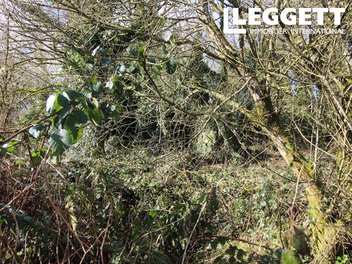 Image No.8-House for sale