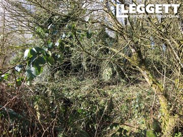 ahr0chm6ly9jzg4uagvzdglhlmltbw8vaw1hz2uvvevom