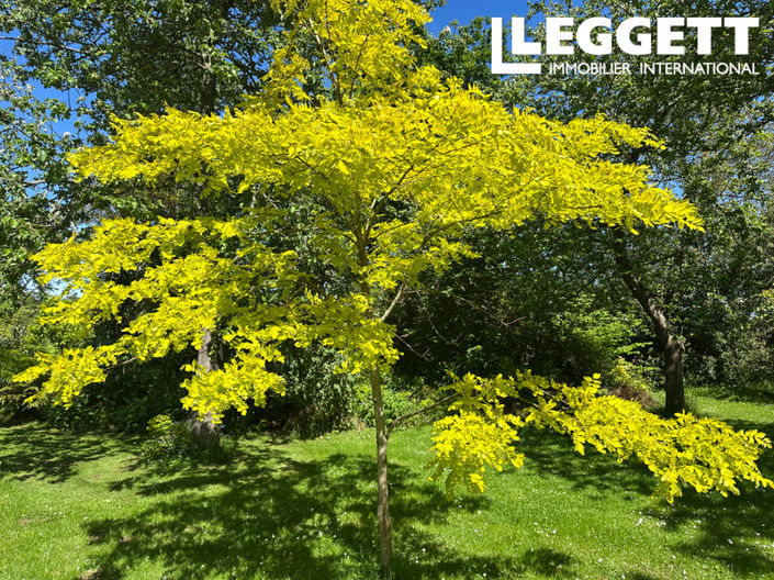 Image No.5-25 Bed House for sale