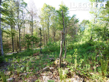 ahr0chm6ly9jzg4uagvzdglhlmltbw8vaw1hz2uvvevom