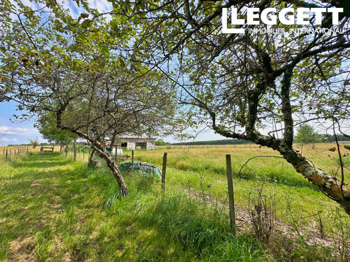 Image No.7-4 Bed House for sale