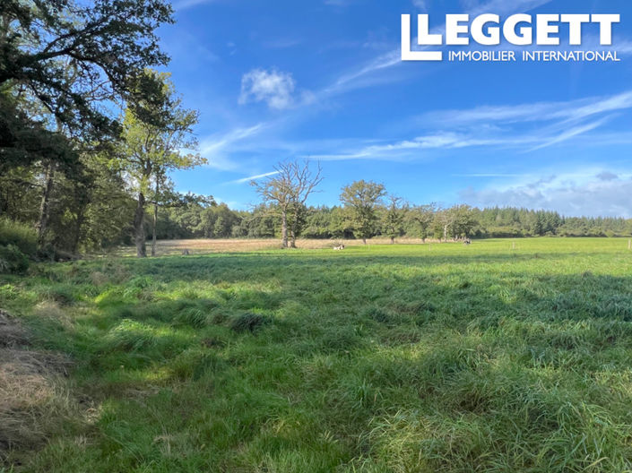 Image No.8-3 Bed House for sale