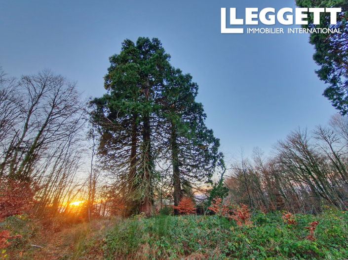 Image No.10-8 Bed House for sale